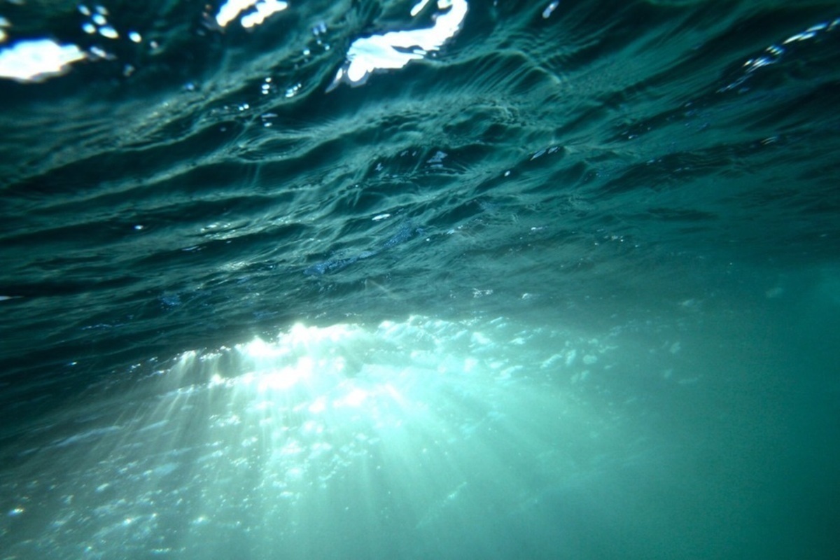 Screen Shot 2018-05-07 at 10.23.30 AM.jpg (Full)